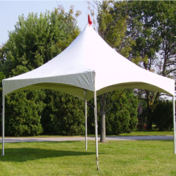 Pagoda Tents for Sale